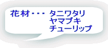 �ԍށE�E�E �^�j���^�� �@          ���}�u�L �@          �`���[���b�v